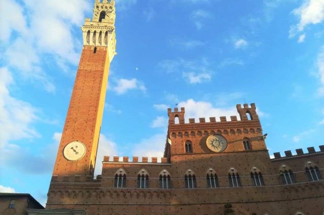 SIENA-7.jpg